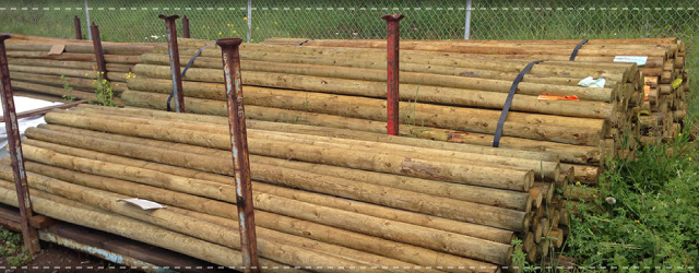 Fence Posts